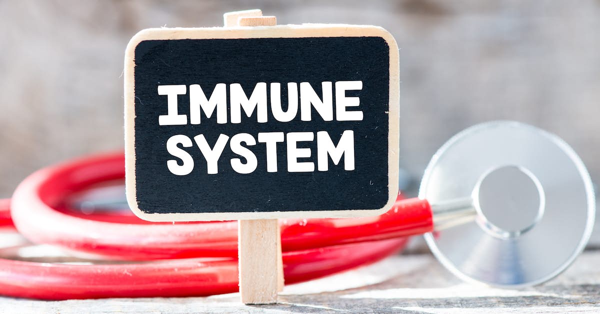 Can Your Immune System Heal Alzheimer’s Disease? about undefined