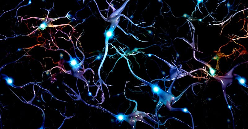 Forty-Year-Old Mystery Solved As To How Brain Cells Die in Alzheimer's about undefined