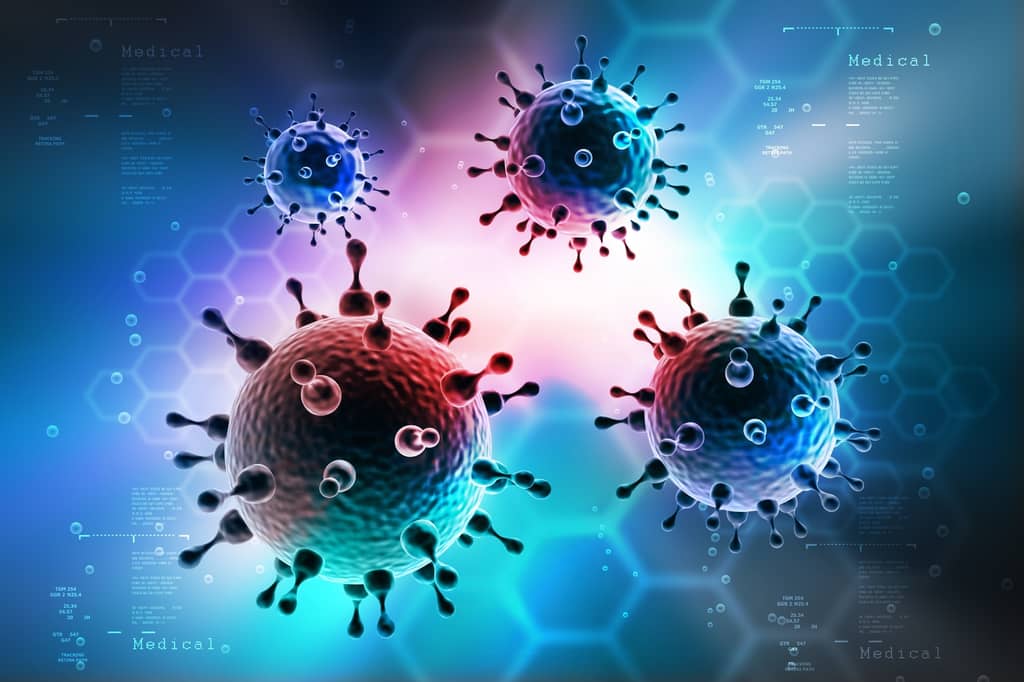 Healthy Gut Microbes May Be Essential to Brain Health about false