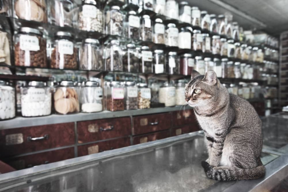 Your Spice Rack Contains a One-Hour Memory Cure about undefined