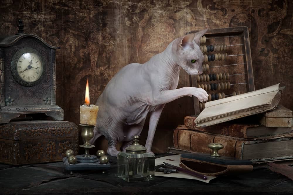 3 Simple Exercises Can Improve Your Memory about false