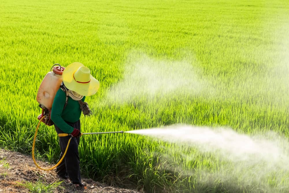 How Pesticides are Wrecking Your Brain about false