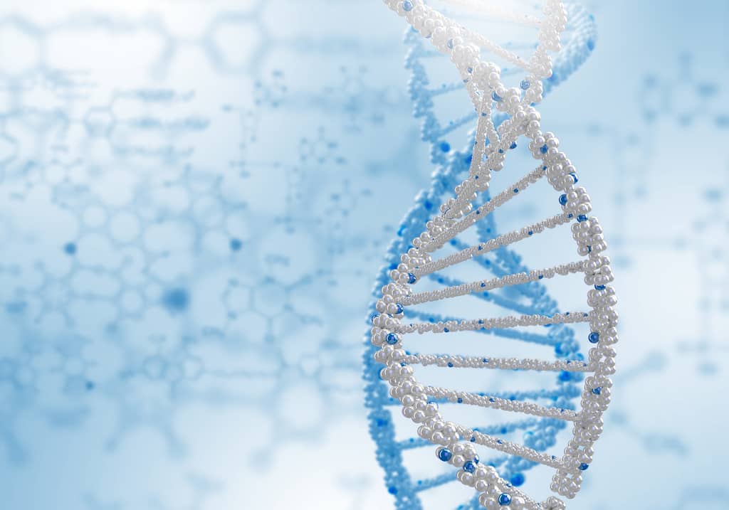 Do Genes Really Have Much To Do With Alzheimer’s Disease? about false