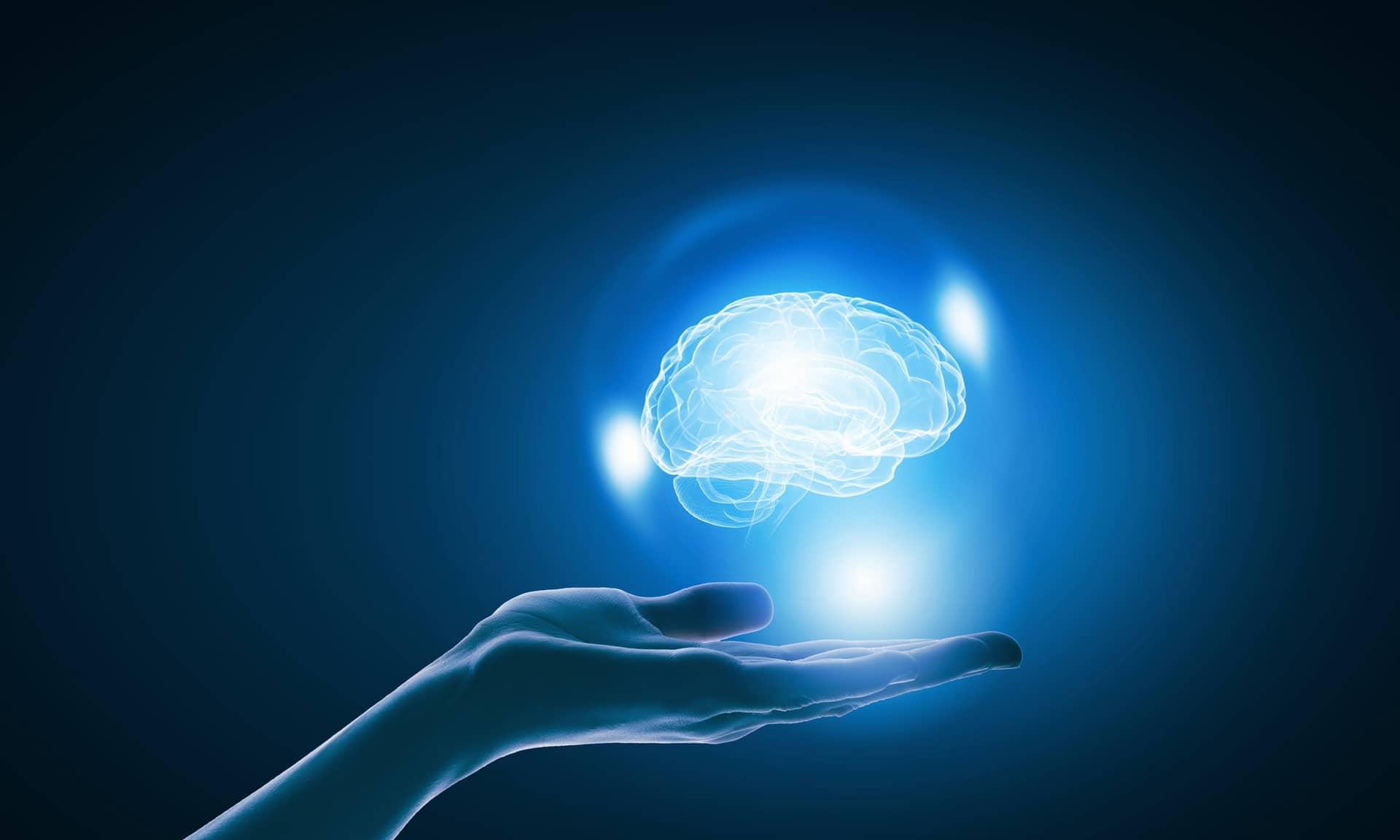 How to Keep Your Brain and Memory From Shrinking about undefined