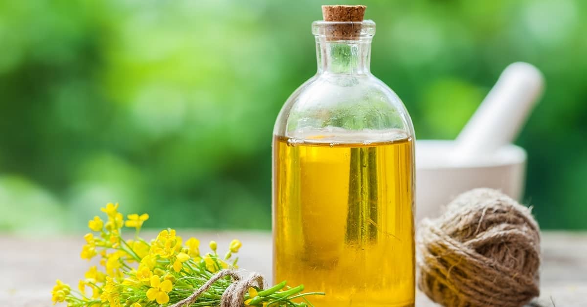 This Cooking Oil May Be Damaging Your Brain about undefined