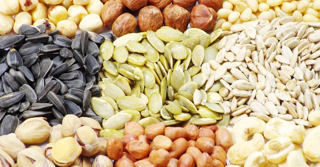 You Need a Wide Range of Fatty Acids  For a Healthy Brain about false