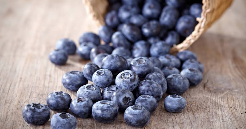 This One Protein Can Make the Difference in Brain Health about false