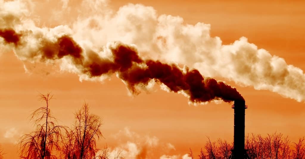 First These Toxins Come for your Sense of Smell, Then They Come After Your Brain about false