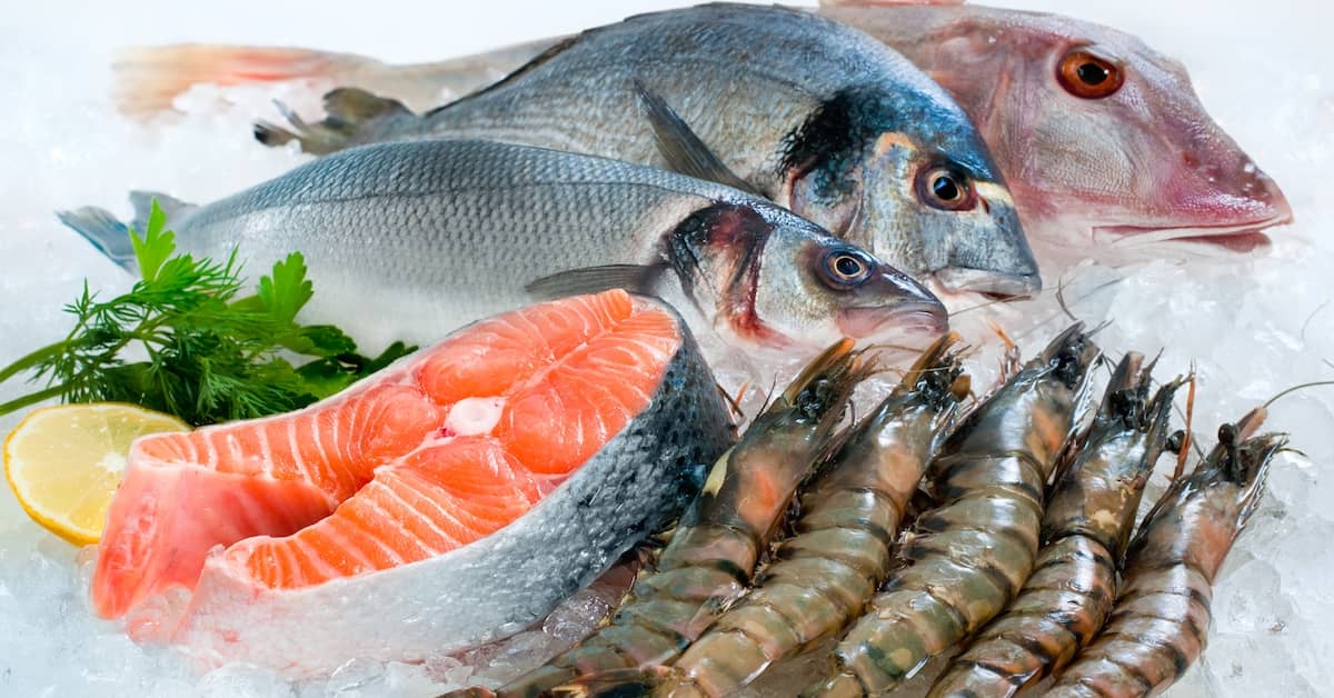Fish Oil in This Form has Extra Benefits about undefined