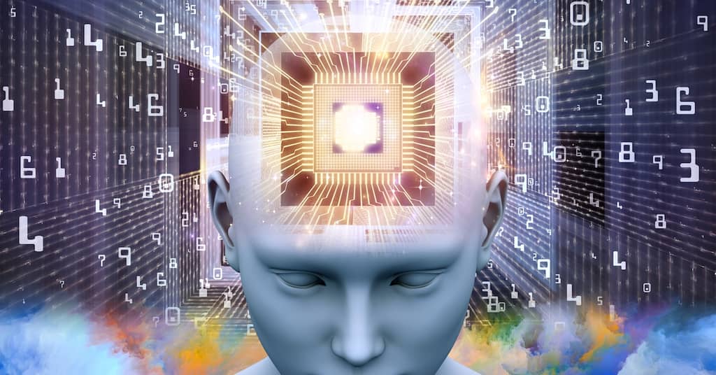 Your Memory and Well-Being Depend on Your Three Brains about false