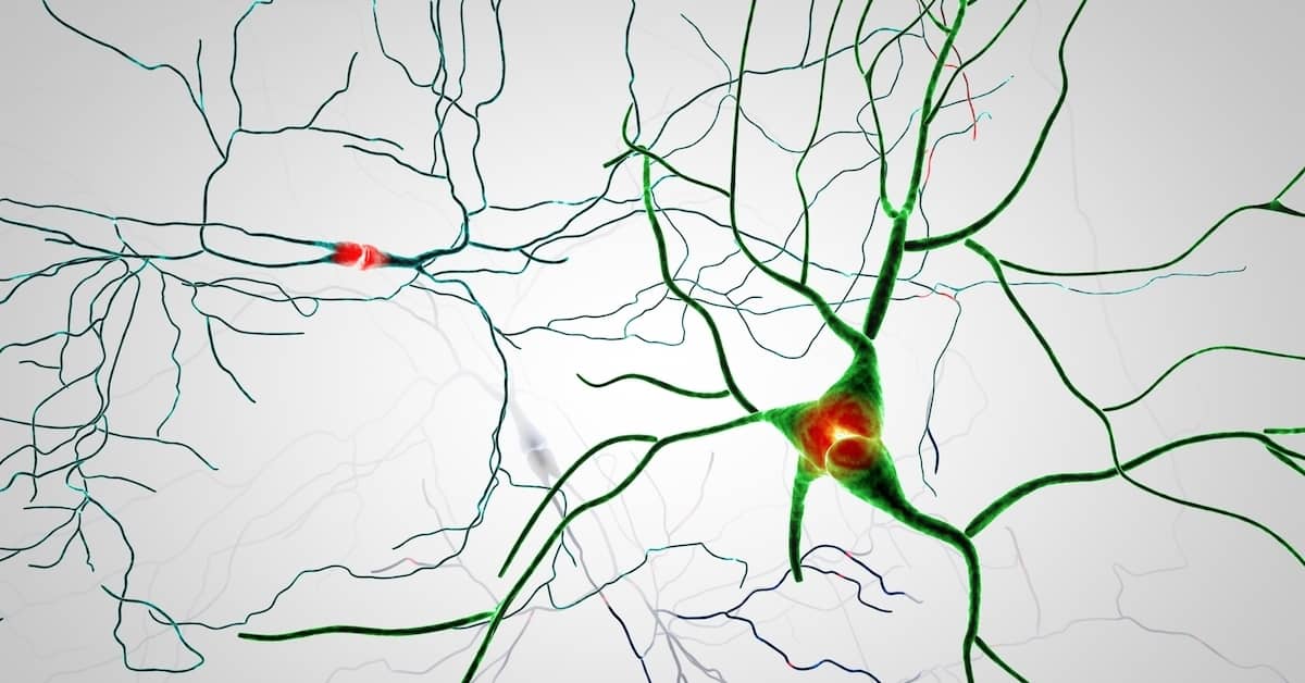 Rewire Your Brain to Change Bad Habits about undefined
