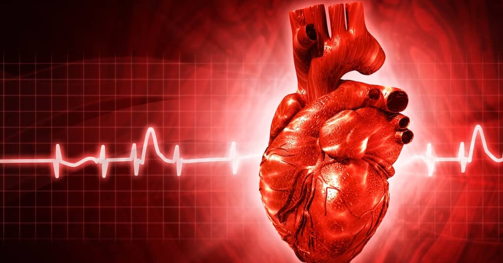 Strengthen This Muscle and You Strengthen Your Brain about false