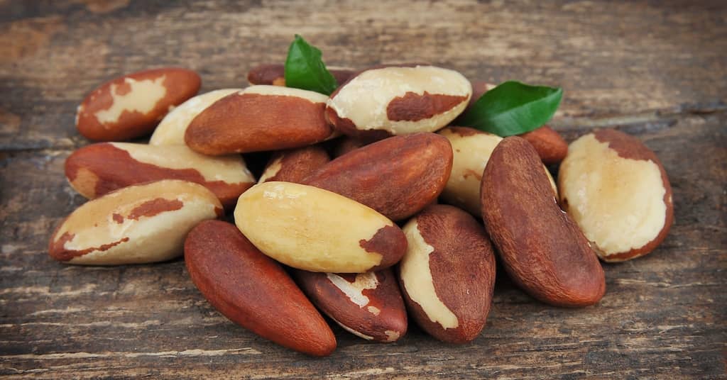 Your Brain is Hungry for This Antioxidant Mineral about false
