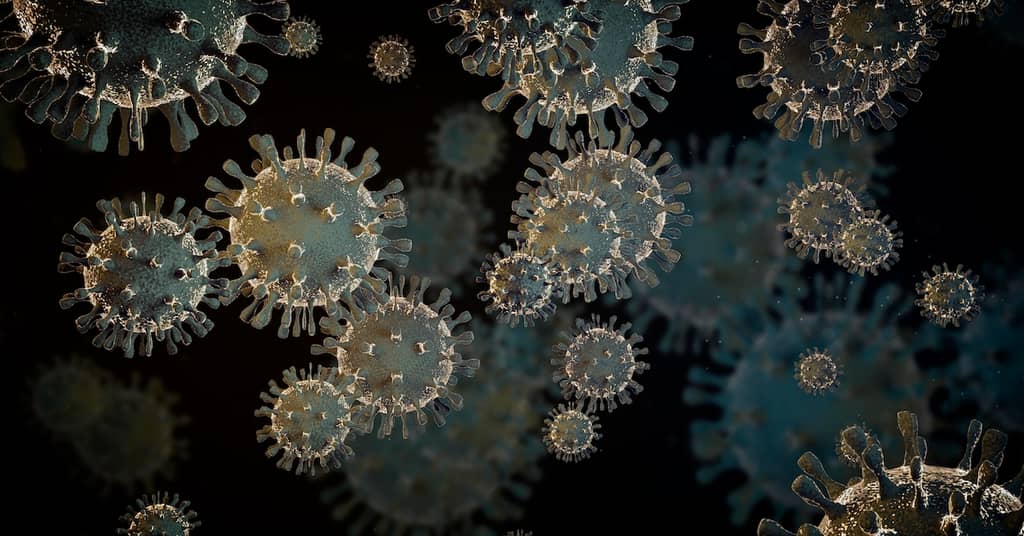 Medical Shocker: Virus May be a Major Cause of Alzheimer’s about false