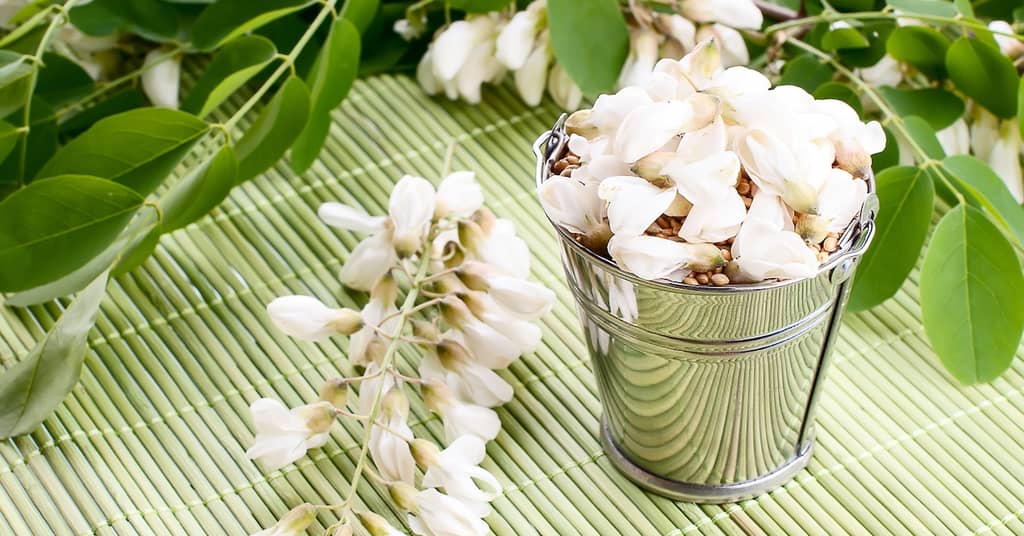 Scientists Prove Age-Old Memory-Enhancing Herb is Effective about false