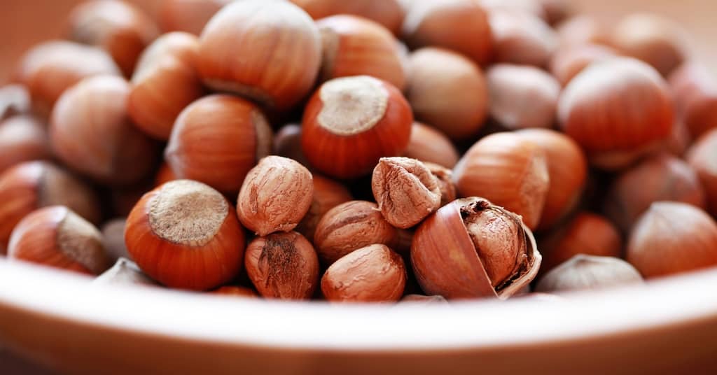 The Tree Nut that Keeps Dementia at Bay about false