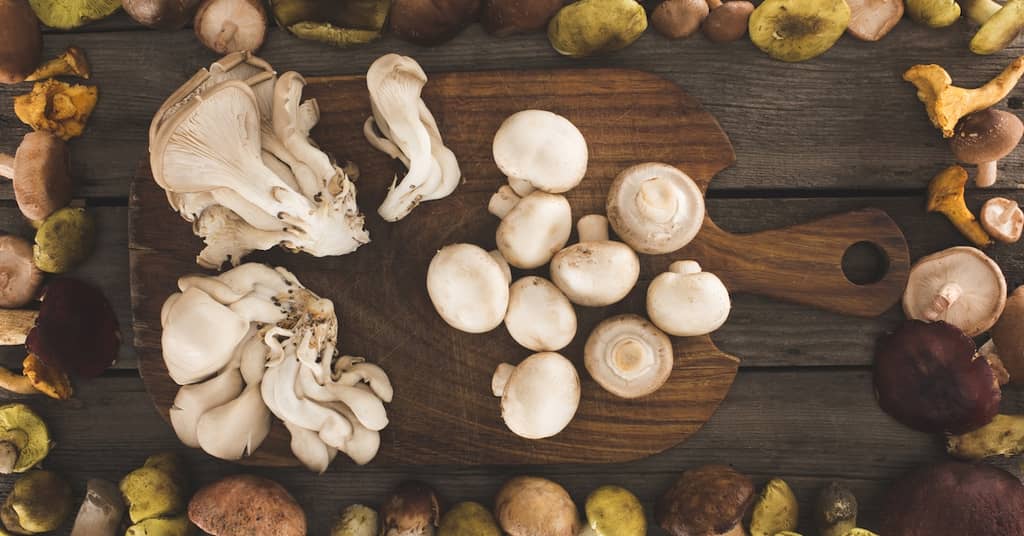 For Brain Health, One Food Makes All the Difference about false