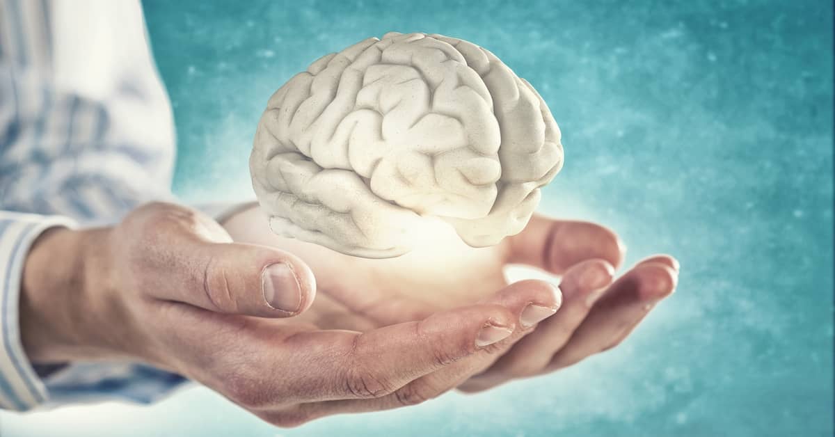 How Do We Know Somebody Is Truly Brain Dead? about undefined