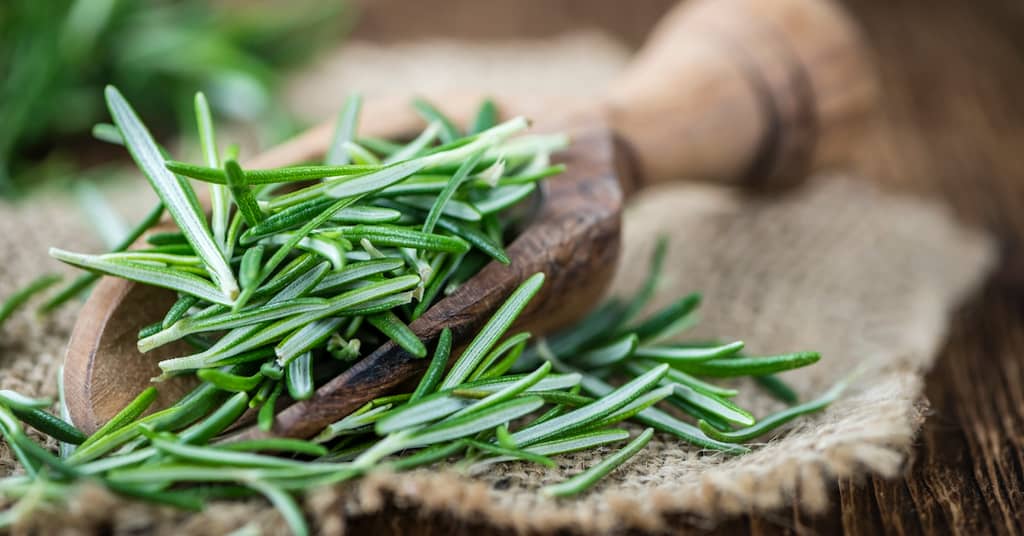 Your Spice Cabinet is Full of Brain “Medicines” Besides Curcumin about false