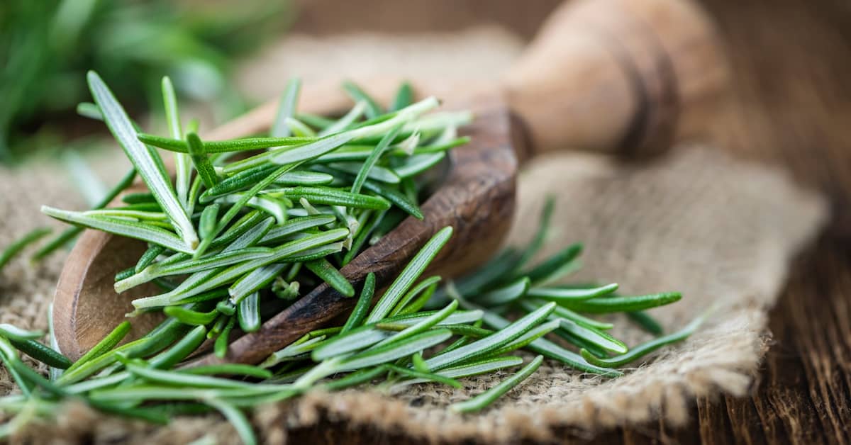 Your Spice Cabinet is Full of Brain “Medicines” Besides Curcumin about undefined