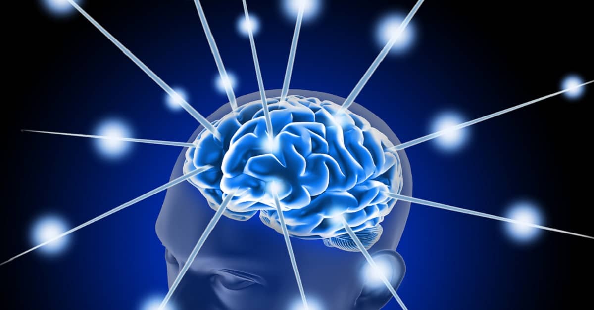 A Fun Way to Make Your Neural Connections Less “Fuzzy” about undefined