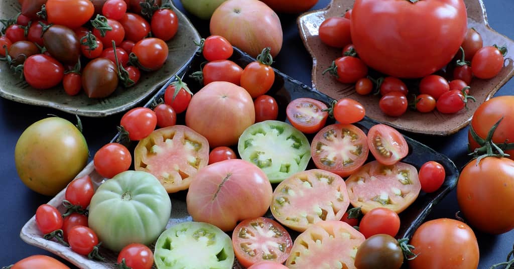 The Nutrients that Get Together to Boost Your Brain Power about false