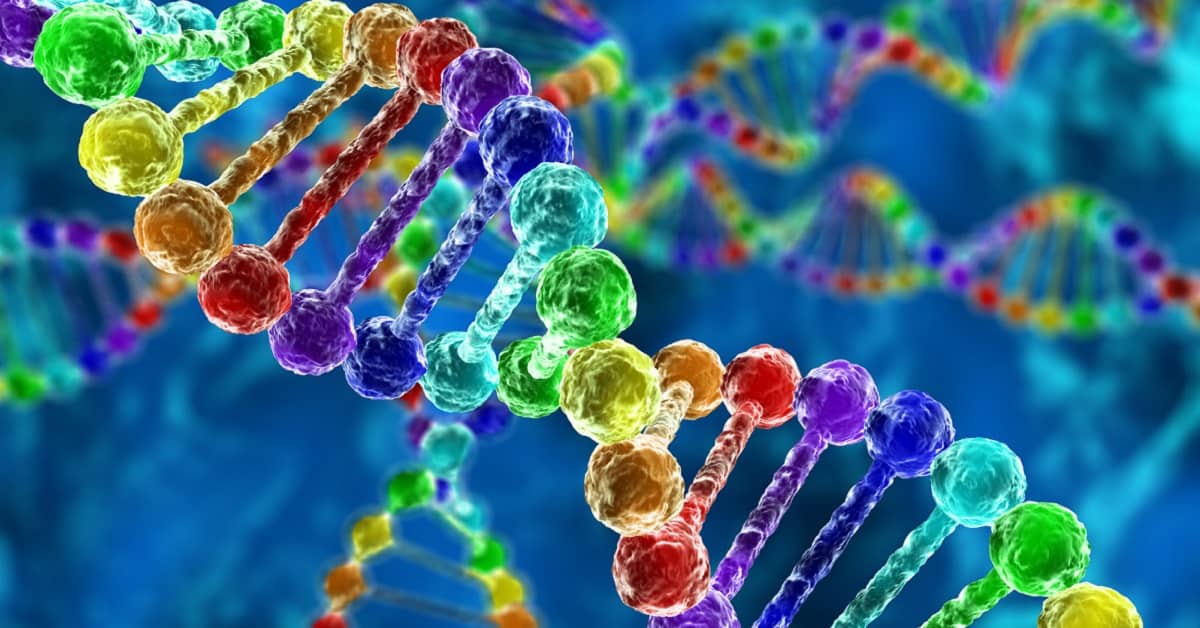 New Study Reveals You Can Beat the “Alzheimer’s Gene” about undefined