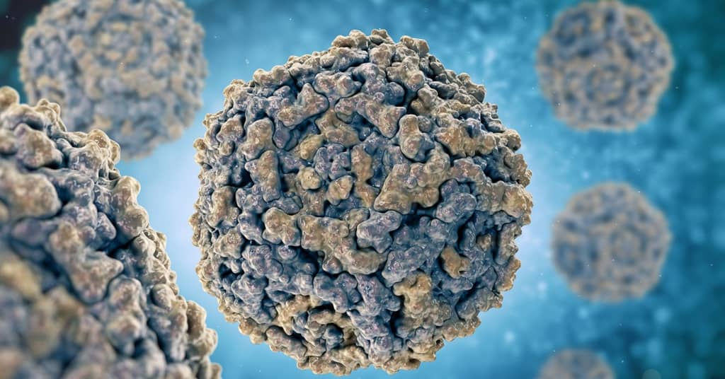 Common Virus Shown to Cause Alzheimer's about false
