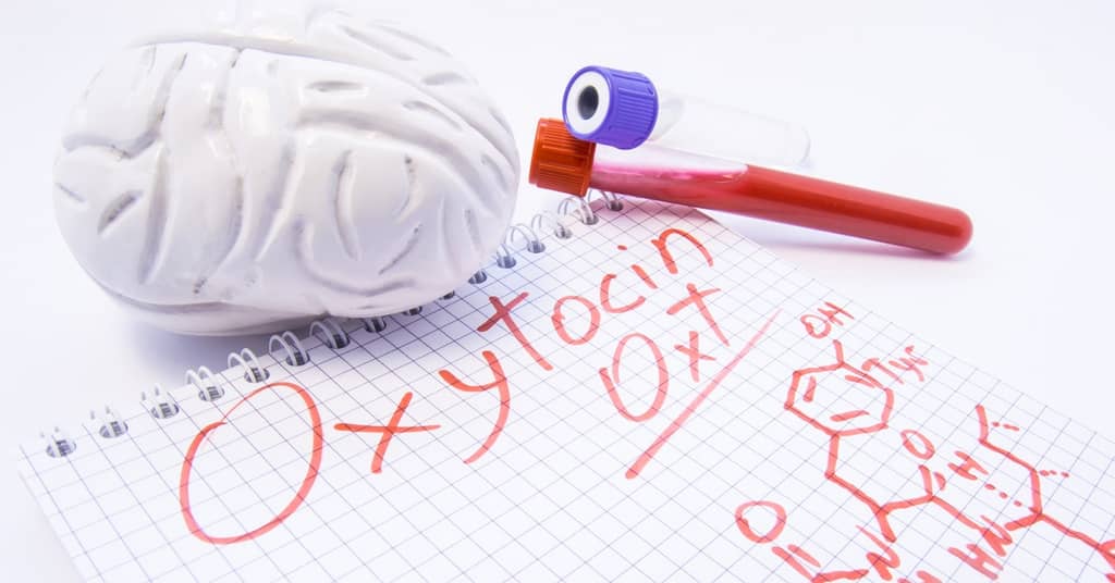 Falling in Love May Reverse Alzheimer's about false