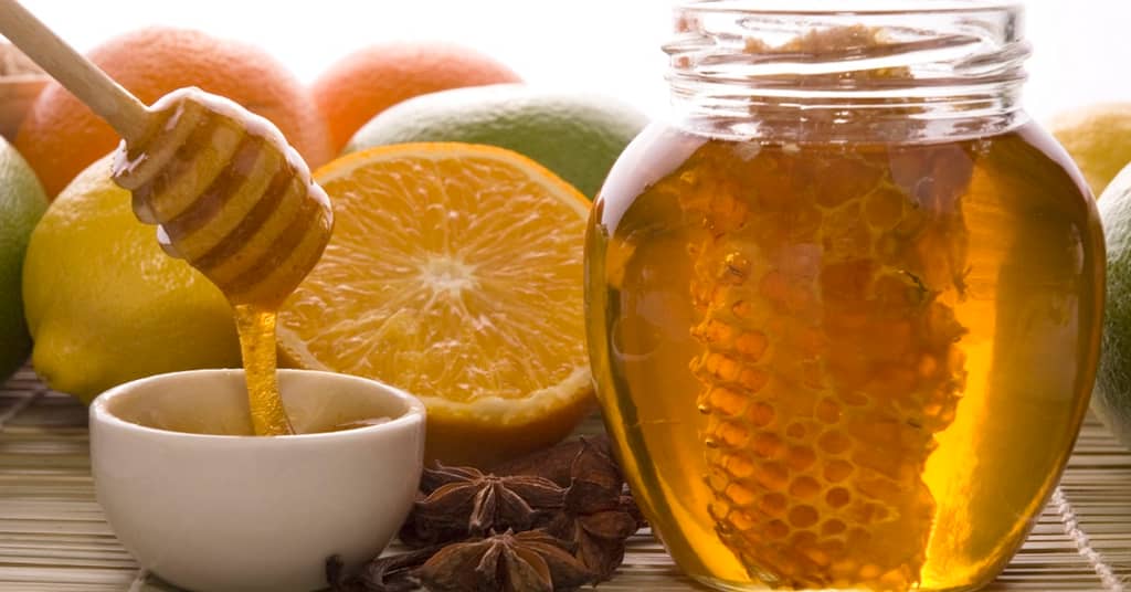 Researchers Say One Single Unifying Theory May Explain Alzheimer's about false