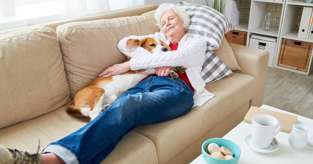 Can Afternoon Naps Boost Brain Function? about false