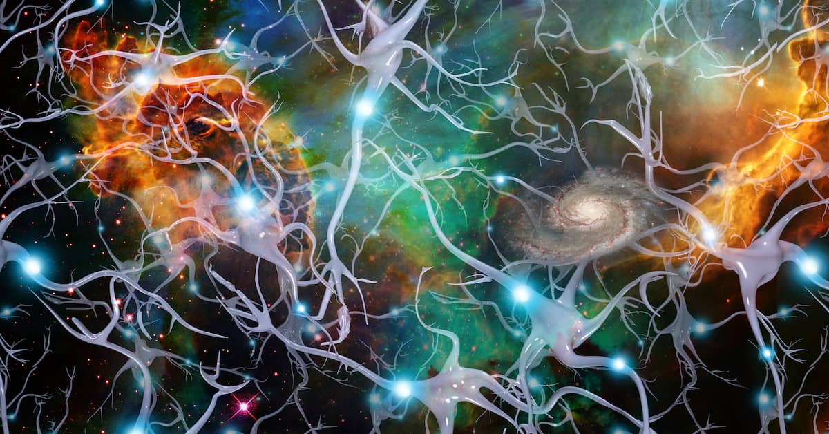 The Brain Change that Predicts Alzheimer’s Disease about undefined