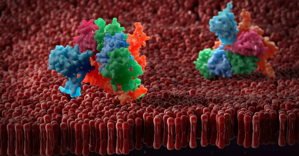 Has a New Cause of Alzheimer's Been "Swept Under the Rug?" about undefined