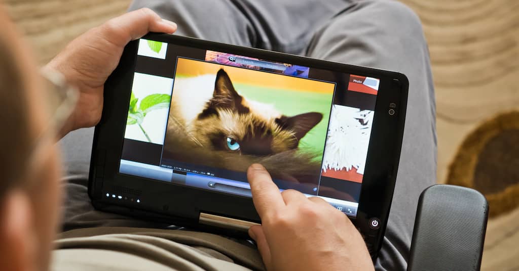 This Five-Minute Animal Recognition Game Can Warn of Alzheimer’s Years in Advance about false