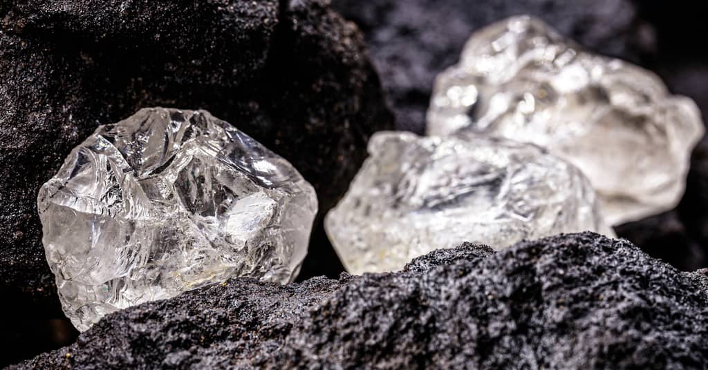 Mental Health Mineral Prevents Dementia in New Research about false