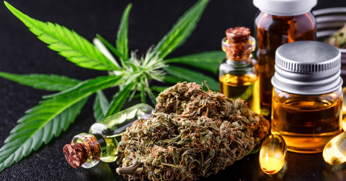 Does Cannabis Hold a Key to Preventing Alzheimer’s Disease? about undefined