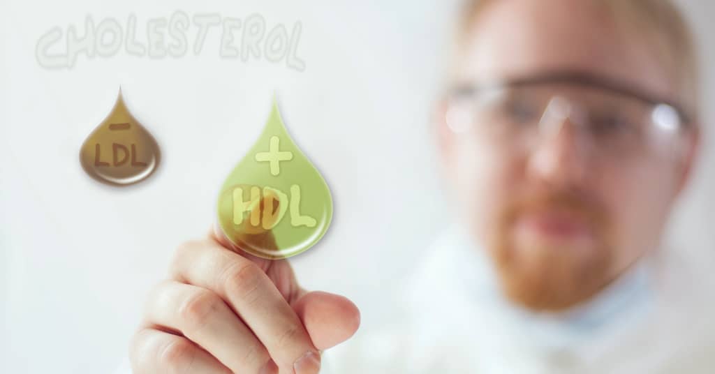 Halt Alzheimer’s Disease With Cholesterol? about false