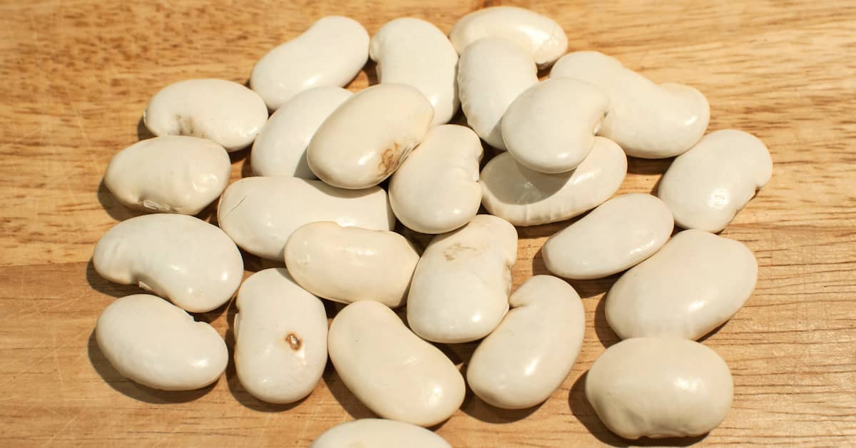 Are You Getting Enough Of This Memory-Boosting Nutrient? about undefined