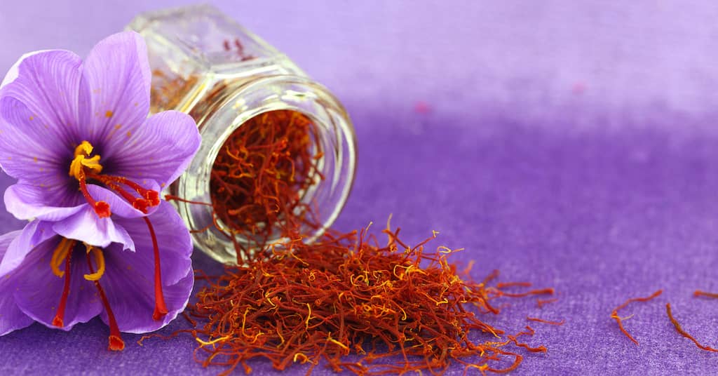 Sharpen Your Memory With This Spice about false