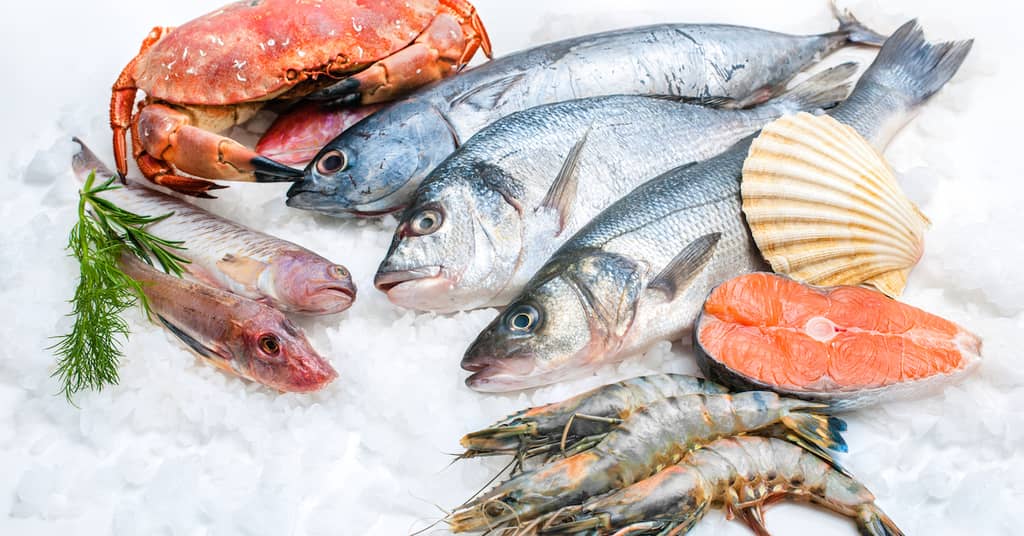 How Food Can Rejuvenate Aging Brain Blood Vessels about false