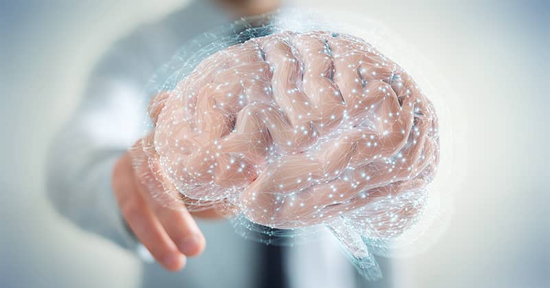 Your Brain Has A Superpower That Keeps Your Memory Strong about false