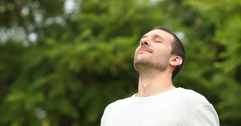 Breathe New Life Into An Aging Memory about false