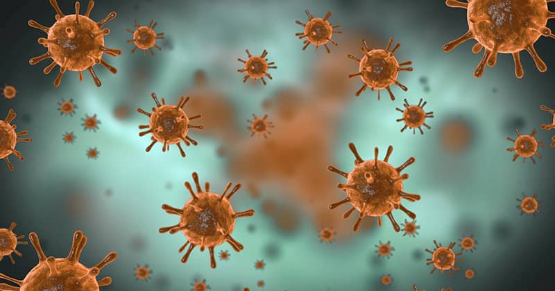 Do “Brain Bugs” Cause Alzheimer’s? about false