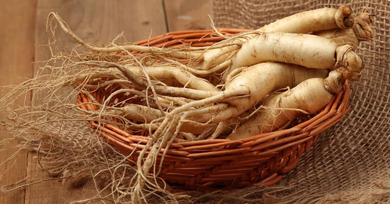 Chinese Medicine Herbal Cocktail Offers New Hope For Treating Mild Cognitive Impairment about undefined