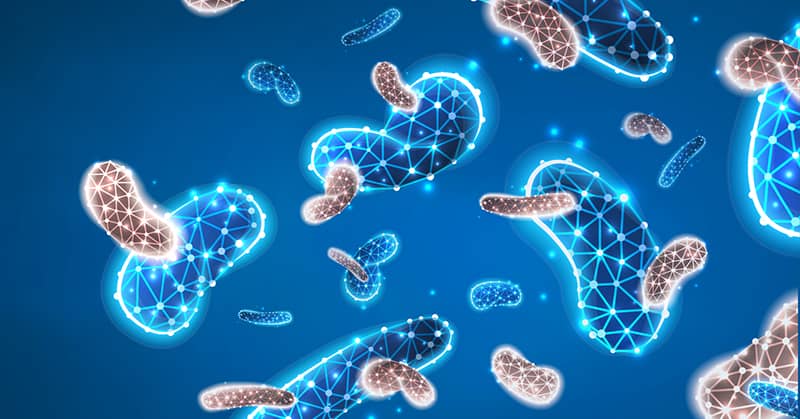 Gut Bacteria Can Cause Alzheimer’s Disease about false